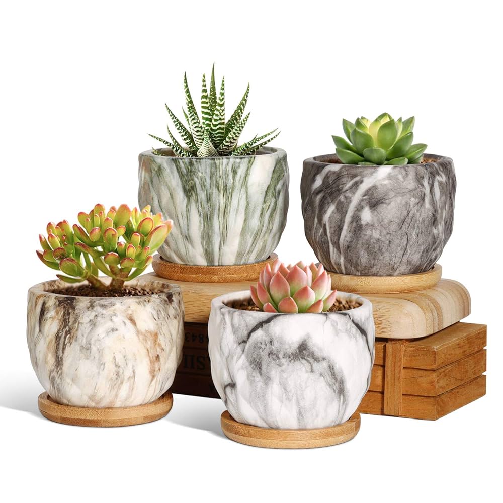 No.074 新品植木鉢 多肉植物鉢 サボテン 陶器製4個セット No.074 新品植木鉢 多肉植物鉢 サボテン 陶器製4個セット